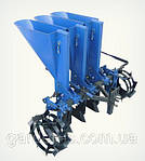 Часникові саджалки