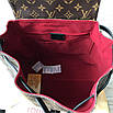 Жіночий рюкзак Louis Vuitton на затяжках, фото 5