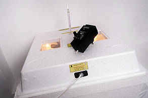 Інкубатор електроннийМІ-30 (з виносним регулятором)