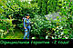 Садовий акумуляторний обприскувач Білорус МТЗ АТ-14/3 (гарантія 2 роки, телескопічна трубка 130 см), фото 3