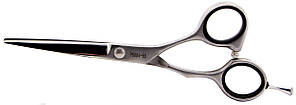 Ножиці для стрижки Pro-Feel 5.5 6CR P6804-55EStyle