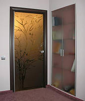 Міжкімнатні двері з тонованого скла з малюнком