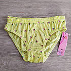 Труси для дівчинки бавовна Квіточки Польща. Трусики для дівчинки, фото 2