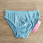 Труси для дівчинки бавовна Квіточки Польща. Трусики для дівчинки, фото 3