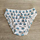 Труси для дівчинки бавовна Грибочки Польща. Трусики для дівчинки, фото 4