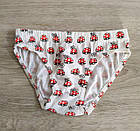 Труси для дівчинки бавовна Грибочки Польща. Трусики для дівчинки, фото 3