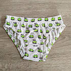 Труси для дівчинки бавовна Грибочки Польща. Трусики для дівчинки, фото 5