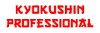 Киокушинкай карате Kyokushin Professional интернет магазин