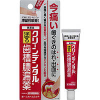 Daiichi Sankyo Clean Dental N мазь від піореї, гінгівіту, стоматиту, кровоточивості ясен, 16 г