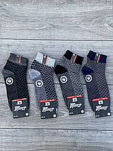 Чоловічі шкарпетки в смужку короткі бавовна Marde 41-45 12 шт в уп мікс 4 кольорів