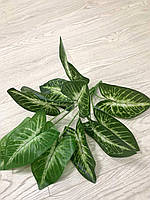 Штучна рослина — каладіум латексний (40 см), фото 6