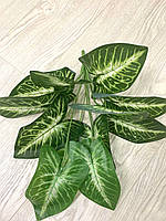 Штучна рослина — каладіум латексний (40 см), фото 2