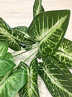 Штучна рослина — каладіум латексний (40 см), фото 9
