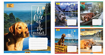 Зошит 48арк. лін. YES Dogs&Water №762095(10)(200)