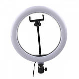 Лампа кільцева світлодіодна зі штативом Ring Light 6901, фото 3