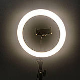 Лампа кільцева світлодіодна зі штативом Ring Light 6901, фото 7