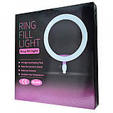 Лампа кільцева світлодіодна зі штативом Ring Light 6901, фото 9