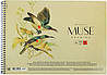 Альбом для малюв. на пруж. 30арк. A4 "Muse" крафт-картон №PB-SC-030-163/Школярик/(1)(36), фото 3