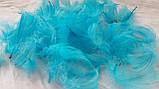 Пір'я помаранчеве декоративне, уп.150 шт (4 гр), фото 9