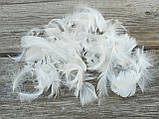 Пір'я рожеве декоративне, 150 шт/уп (4-5 гр), фото 4