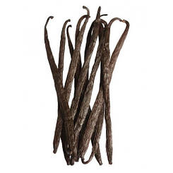 Ваніль в стручках 13-15 см 1 шт.