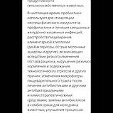 Версела-лагу престиж преміумвеликий папуга 15 кг., фото 5