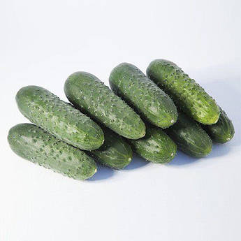 KS 70 F1 250 шт (Такері) (Kitano Seeds)