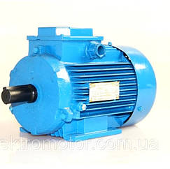Електродвигун АІР 100 L6 2,2 кВт 1000 об./хв.