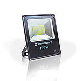 Прожектор світлодіодний ЄВРОСВЕТ 100 Вт 6400 К EV-100-01 SMD, фото 3
