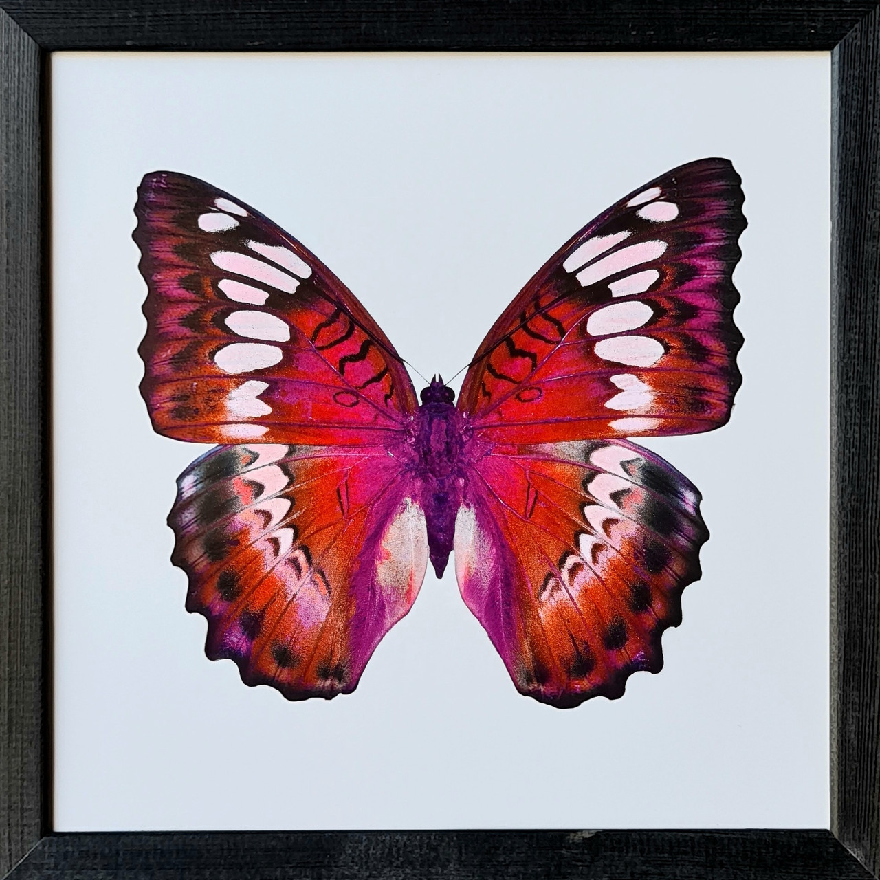 Фотокартина в дерев'яній рамі Butterfly 2 30х30 см POS-3030-046