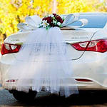 Ікебани, Банти