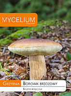 Мицелий Белого гриба берёзового 20 Г