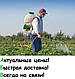Обприскувач садовий акумуляторний Riga АТ-16 (гарантія 2 роки, латвійське якість, телескопічна трубка), фото 4