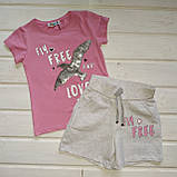 Костюм футболка і шорти для дівчинки Розмір 110, фото 2