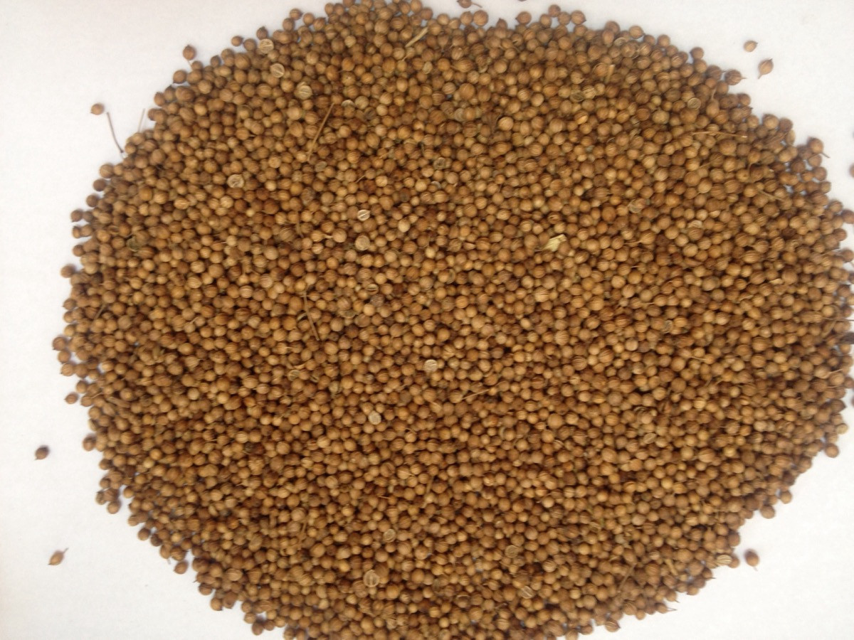 Коріандр (насіння ціле), 500г., фото 1