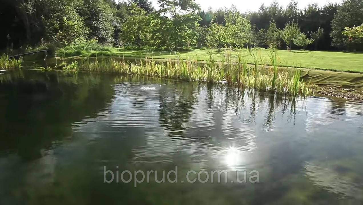 Будівництво плавальних ставків.