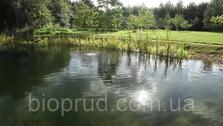 Будівництво ставка, фото 1