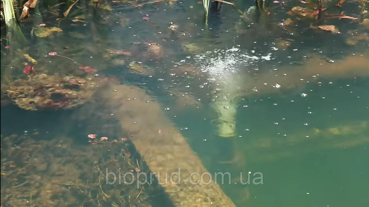 Водоєми.
