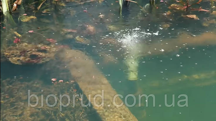 Водоєми., фото 1