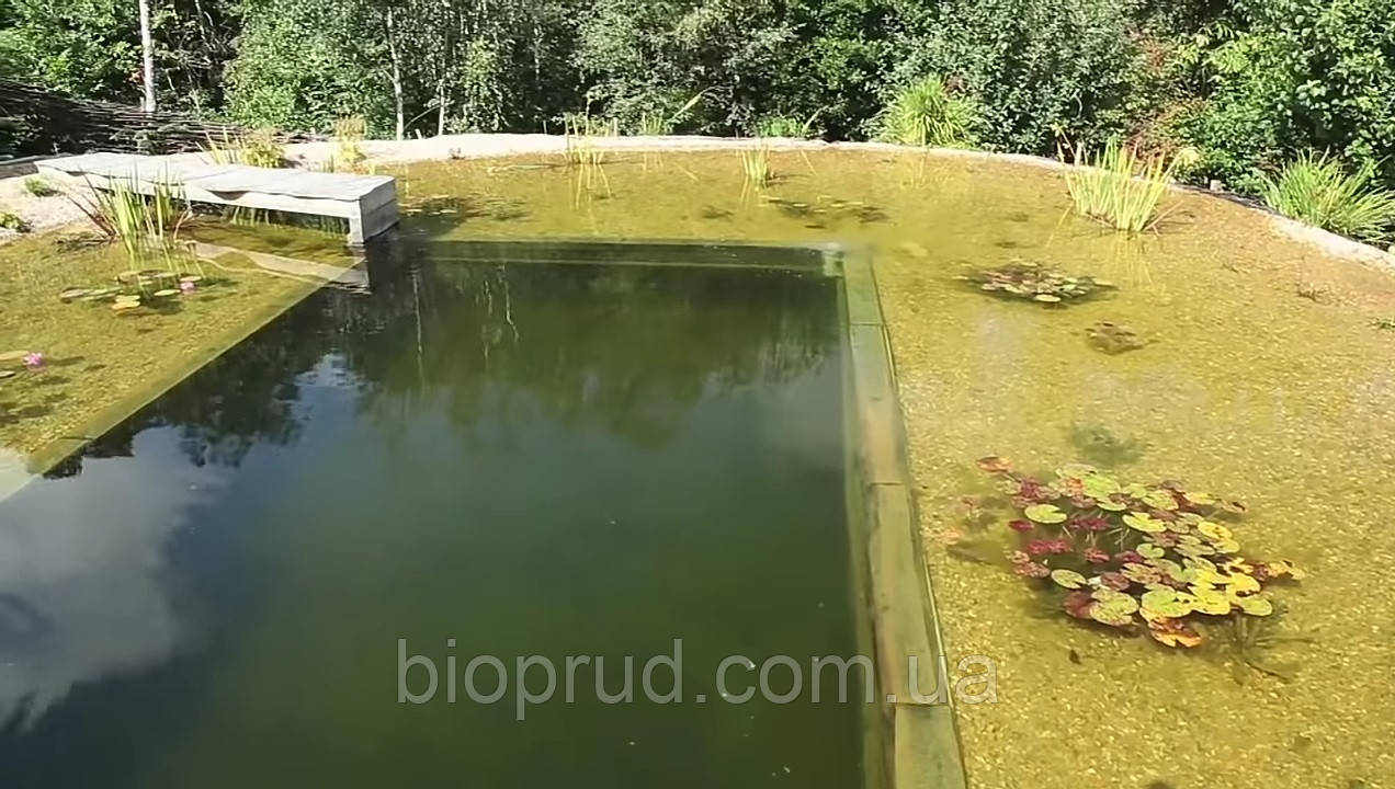 Плавальні ставки.