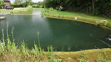 Декоративний ставок., фото 3