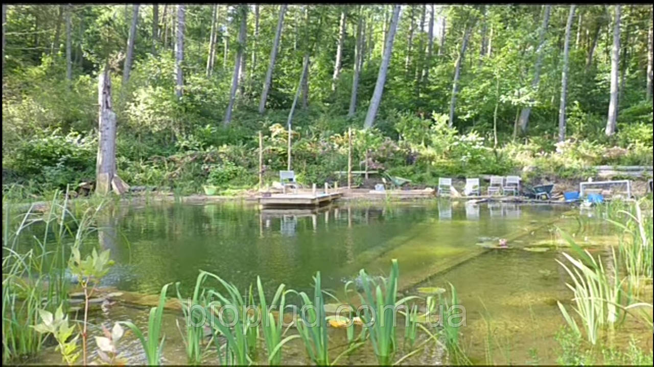 Декоративний ставок.