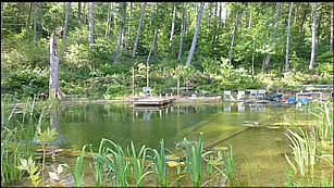 Декоративний фонтан.