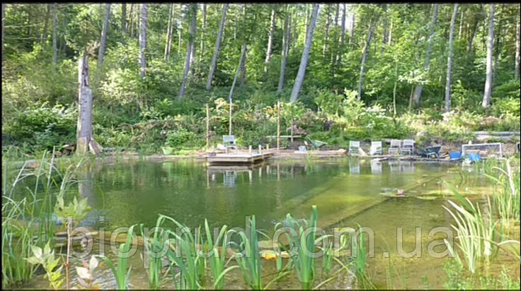 Декоративний ставок., фото 1