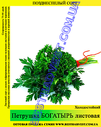 Насіння петрушки "Богатир" 0.5 кг