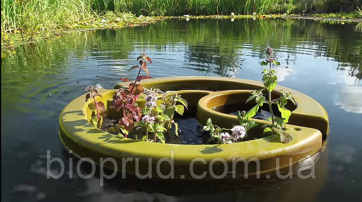 Водоєм із фонтаном., фото 1