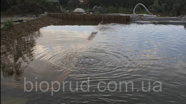 Водоєм біля дому., фото 1