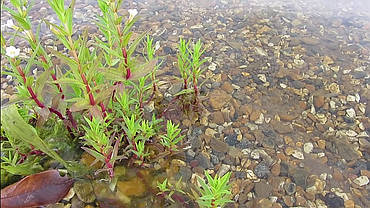 Водоєми., фото 3