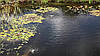 Водоєми., фото 10