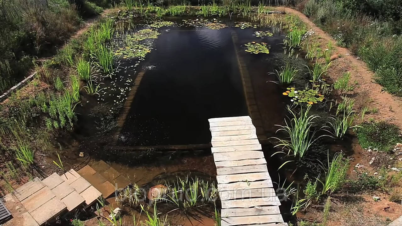 Будівництво природного плавального басейну.